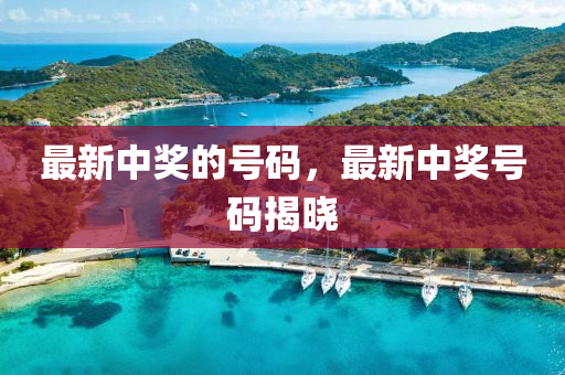 最新中奖的号码,最新中奖号码揭晓