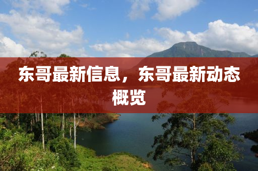 东哥最新信息,东哥最新动态概览