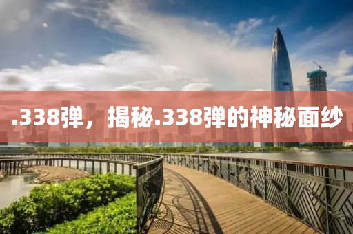 .338弹,揭秘.338弹的神秘面纱