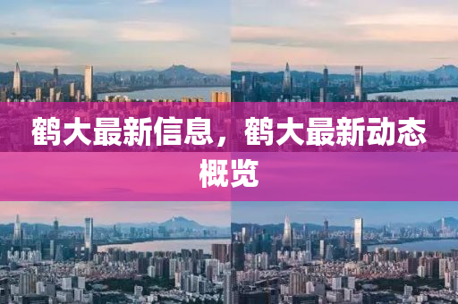 鹤大最新信息，鹤大最新动态概览中山市多米克自动化设备有限公司