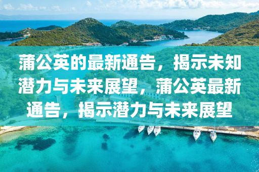 蒲公英的最新通告,揭示未知潜力与未来展望,蒲公英最新通告,揭示潜力与未来展望