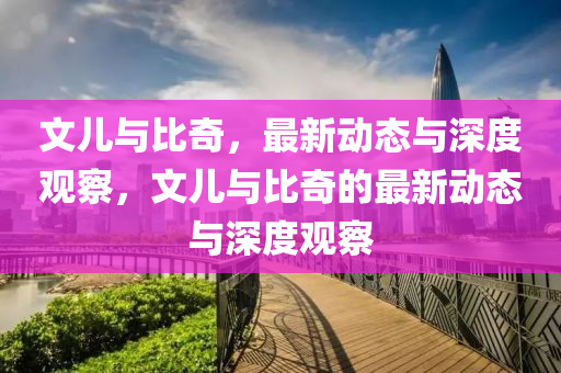 文儿与比奇,最新动态与深度观察,文儿与比奇的最新动态与深度观察