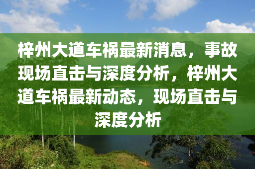 梓州大道车祸最新消息，事故现场直击与深度分析，梓州大道车祸最新动态，现场直击与深度分析中山市多米克自动化设备有限公司