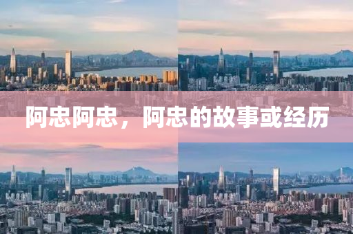 阿忠阿忠，阿忠的故事或经历中山市多米克自动化设备有限公司