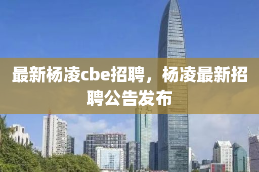 最新杨凌cbe招聘，杨凌最新招聘公告发布中山市多米克自动化设备有限公司