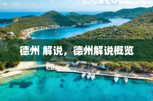 德州 解说，德州解说概览中山市多米克自动化设备有限公司