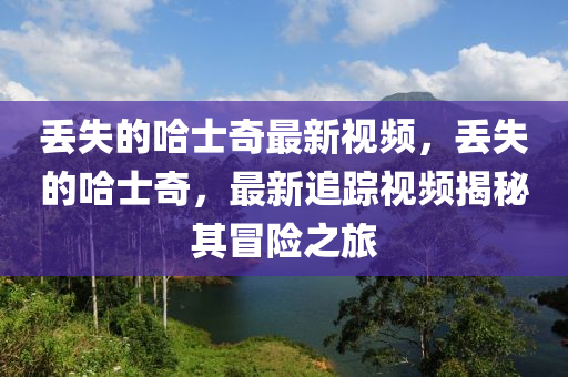丢失的哈士奇最新视频，丢失的哈士奇，最新追踪视频揭秘其冒险之旅中山市多米克自动化设备有限公司