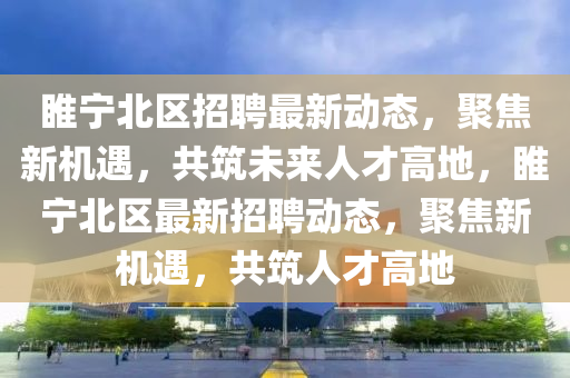 睢宁北区招聘最新动态，聚焦新机遇，共筑未来人才高地，睢宁北区最新招聘动态，聚焦新机遇，共筑人才高地中山市多米克自动化设备有限公司
