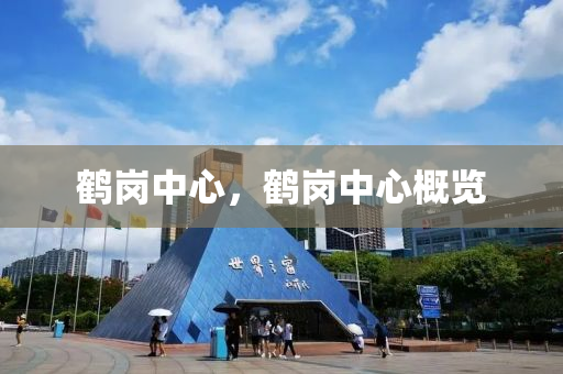 鹤岗中心，鹤岗中心概览中山市多米克自动化设备有限公司