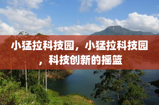澳门一码一特一中预测 第25页
