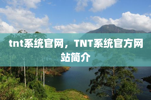 tn中山市多米克自动化设备有限公司t系统官网，TNT系统官方网站简介